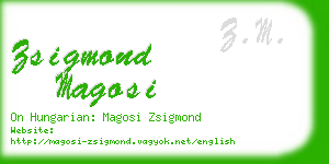 zsigmond magosi business card